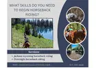 What Skills Do You Need to Begin Horseback Riding?