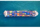 Professional Import and Export Website Dubai