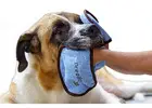HugeHounds Offers Dog Slobber Catcher for Clean and Comfortable Pets