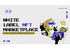 White label NFT marketplace development