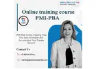 Online training course PMI-PBA | 8072437416 | Proventures India