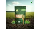 Supercharge Your Health with Asmita Organic Farm's Pure Moringa Powder