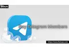 Boost Channel Growth with Buy Telegram Members