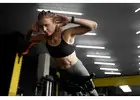 Expert SEO for Sports Website