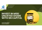 Invest in MSEI Unlisted Share with SN Capital