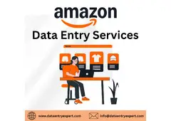 Best Amazon Data Entry Services