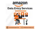 Best Amazon Data Entry Services