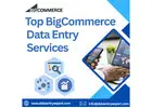 Best BigCommerce Data Entry services