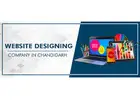 Web Design Company in Chandigarh
