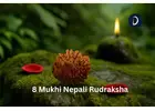 Get 8 Mukhi Nepali Rudraksha For Success And Protection