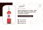 Nachhaltigkeit im Glas: Wie Bio Wein Rheinhessen die Umwelt schützt