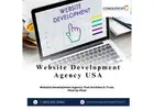 Website Development Agency USA | Conquerors Tech