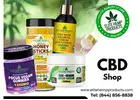 Discover Wellness at the Best CBD Shop in Sunrise