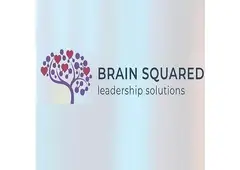 Brain Squared Solutions Inc.
