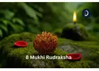 Get Original 8 Mukhi Rudraksha From Daivik Cart