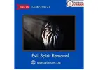 Effective Evil Spirit Removal – Restore Balance and Positive Energy in Life