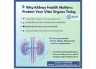 Why Kidney Health Matters: Protect Your Vital Organs Today