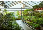 Nursery POS Software | SBI Point of Sale for Growing Retail
