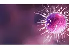 Discovering the Best IVF Clinic in Dubai