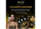 Play Live Casino Anytime on Reddy Anna Book