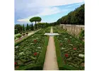 Attend the most holy Pope’s Mass congregations with Vatican City Tours