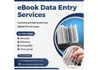 Best eBook Data Entry Services in India