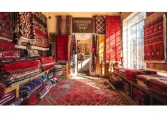 Jansons Carpets Showcases the Best Wool Carpets in India with Classic Elegance Jansons Carpets Showcases the Best Wool Carpets in India with Classic Elegance