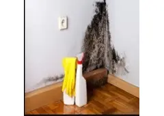 Seattle Water Damage Restoration Seattle Water Damage Restoration