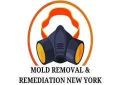 Mold Removal & Remediation New York - Bronx Mold Removal & Remediation New York - Bronx