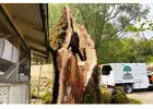 Emergency Tree Service​ Windsor