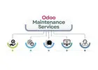 Professional Odoo Maintenance Services