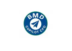 BMD Professional Consulting LLC