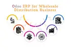 Odoo for Wholesale Distribution Business