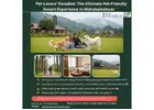 Pet Lovers’ Paradise: The Ultimate Pet-Friendly Resort Experience in Mahabaleshwar