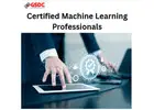 How Certified Machine Learning Professionals Are Powering the Next Wave of AI Innovation