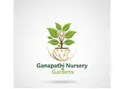 Ganapathi Nursery Gardens – Bringing Nature Closer to Your Home in Gajuwaka, Vizag