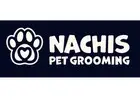 Top Dog Grooming in Tampa | Nachis Pet Grooming Experts