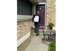 Avayda Pest Control Professional Pest Care in Vancouver BC