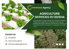 Modern Farming Technology & Organic Support | CoreNova Agency
