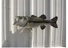 Largemouth bass mount