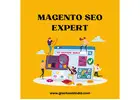 Get Magento SEO Expert Support - Drive More Traffic Now