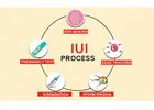 IUI Treatment In Delhi - Dr Rhythm Gupta