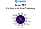 Best Odoo ERP implementation company
