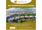 Best Wildlife Resort in Tadoba