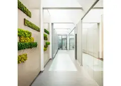 Proyectos jardines verticales