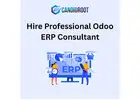 Hire Professional Odoo ERP Consultant