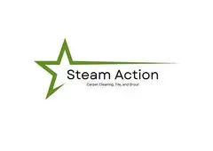 Steam Action Carpet Cleaning