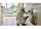 Mold Inspection Experts Florida