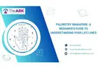 Palmistry Singapore: A Beginner’s Guide to Understanding Your Life Lines