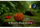 Get Authentic Original 9 Mukhi Nepali Rudraksha For Strength